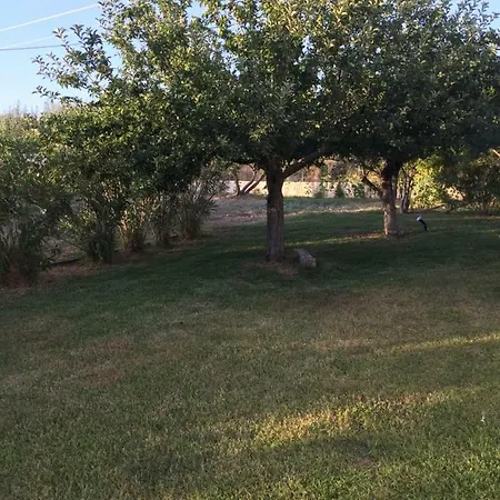 Apartment Pelagia
