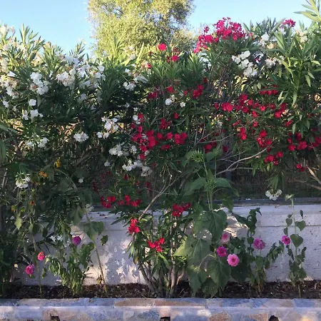 Pelagia Apartman