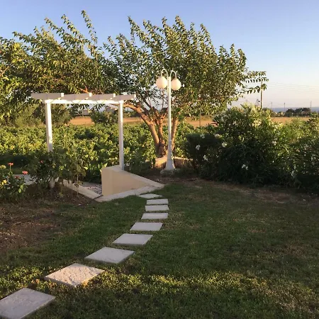 Pelagia סבורונטה